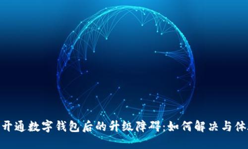 : 開通數(shù)字錢包后的升級(jí)障礙：如何解決與體驗(yàn)