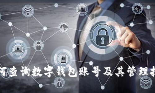 如何查詢(xún)數(shù)字錢(qián)包賬號(hào)及其管理技巧