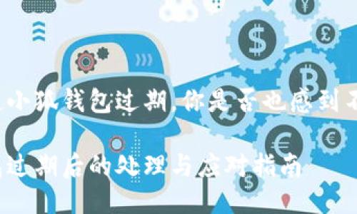 每當提起小狐錢(qián)包過(guò)期，你是否也感到不知所措？

小狐錢(qián)包過(guò)期后的處理與應對指南