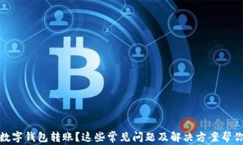 
沒有收到數(shù)字錢包轉賬？這些常見問題及解決方案幫你找回資金