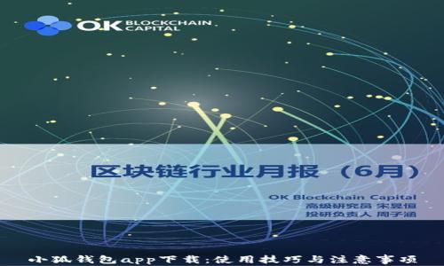 
小狐錢(qián)包app下載：使用技巧與注意事項