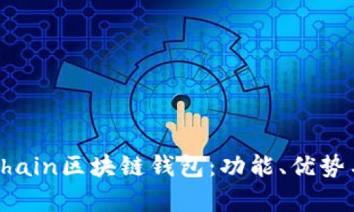 全面解析Chain區(qū)塊鏈錢包：功能、優(yōu)勢與應(yīng)用場景