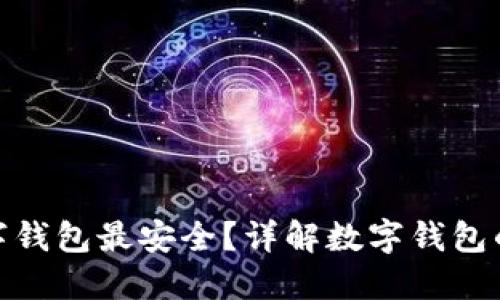 哪種數(shù)字錢包最安全？詳解數(shù)字錢包的安全性