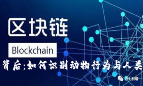 狐貍賣萌的背后：如何識(shí)別動(dòng)物行為與人類情感的真相