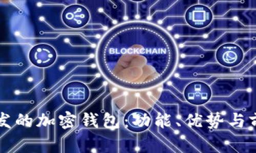 國內(nèi)開發(fā)的加密錢包：功能、優(yōu)勢與前景分析
