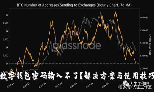 數字錢包密碼輸入不了？解決方案與使用技巧