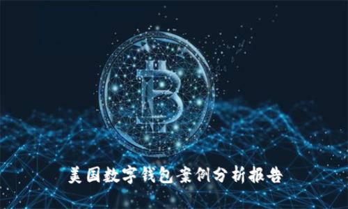 美國數(shù)字錢包案例分析報告