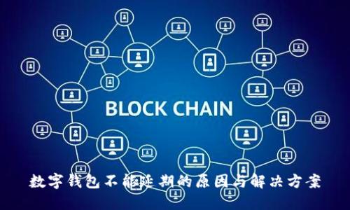 數(shù)字錢包不能延期的原因與解決方案