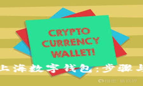 如何申請上海數字錢包：步驟與注意事項