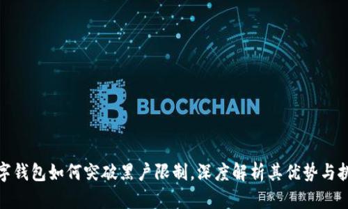 數(shù)字錢包如何突破黑戶限制，深度解析其優(yōu)勢與挑戰(zhàn)