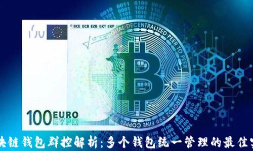 
區(qū)塊鏈錢包群控解析：多個錢包統(tǒng)一管理的最佳實踐