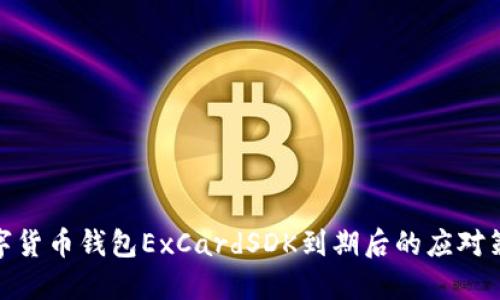 數字貨幣錢包ExCardSDK到期后的應對策略