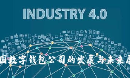 美國數(shù)字錢包公司的發(fā)展與未來展望