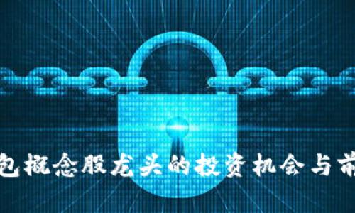 數(shù)字錢(qián)包概念股龍頭的投資機(jī)會(huì)與前景分析