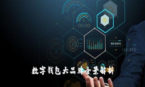 數(shù)字錢包大品牌全景解析