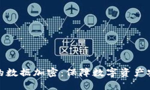 電子錢包的數據加密：保障數字資產安全的關鍵