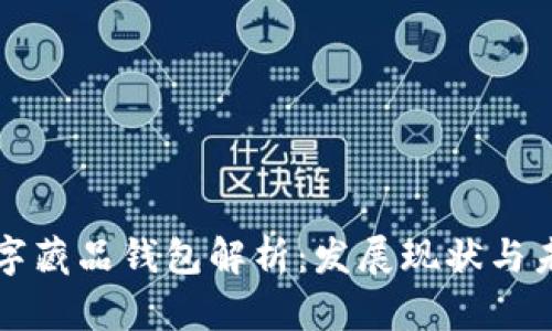 國(guó)內(nèi)數(shù)字藏品錢(qián)包解析：發(fā)展現(xiàn)狀與未來(lái)趨勢(shì)