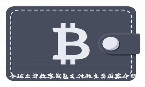 全球允許數字錢包支付的主要國家介紹