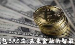 央行數(shù)字錢包BAC芯：未來