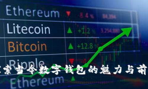 探索當今數(shù)字錢包的魅力與前景