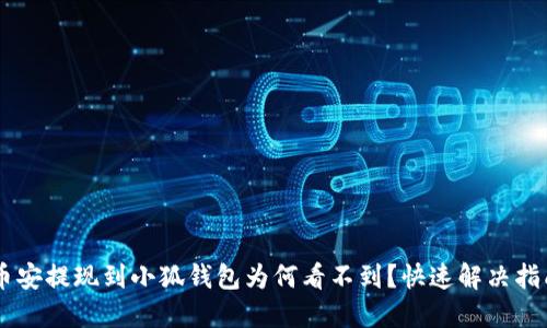 幣安提現(xiàn)到小狐錢包為何看不到？快速解決指南