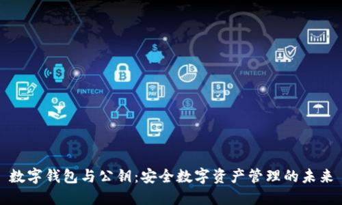 數(shù)字錢(qián)包與公鑰：安全數(shù)字資產(chǎn)管理的未來(lái)