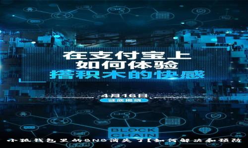 小狐錢(qián)包里的BNB消失了？如何解決和預(yù)防