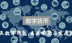 飛天數(shù)字錢包：未來前景
