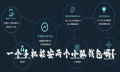 一個(gè)手機能安兩個(gè)小狐錢(qián)