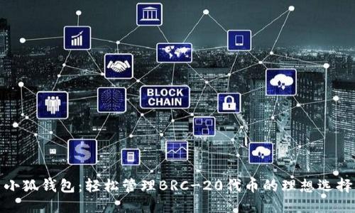 小狐錢包：輕松管理BRC-20代幣的理想選擇