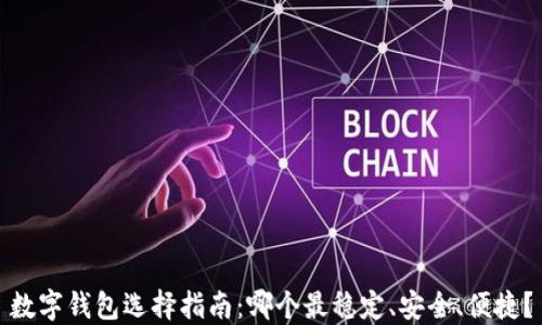 
數(shù)字錢包選擇指南：哪個最穩(wěn)定、安全、便捷？