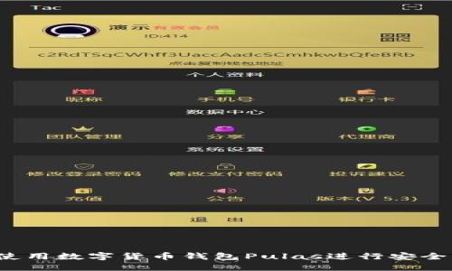 如何使用數(shù)字貨幣錢包Pulas進(jìn)行安全交易？