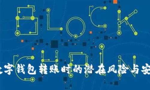 小心！數(shù)字錢包轉(zhuǎn)賬時(shí)的潛在風(fēng)險(xiǎn)與安全措施