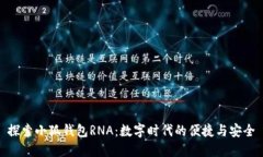 探索小狐錢(qián)包RNA：數字時(shí)
