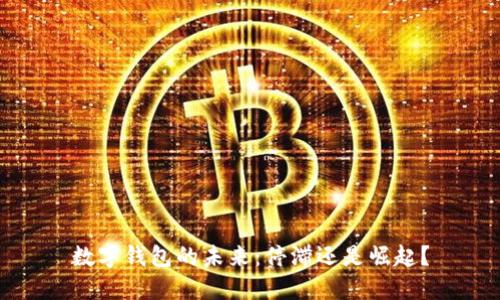 數(shù)字錢包的未來(lái)：停滯還是崛起？