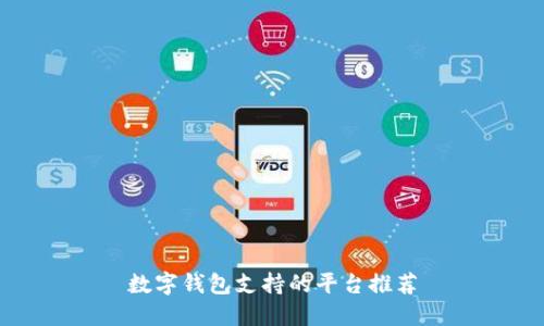 數(shù)字錢包支持的平臺(tái)推薦