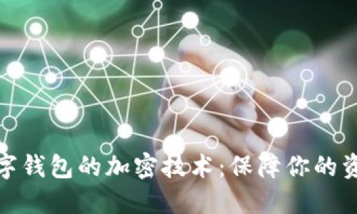 揭秘?cái)?shù)字錢包的加密技術(shù)：保障你的資產(chǎn)安全