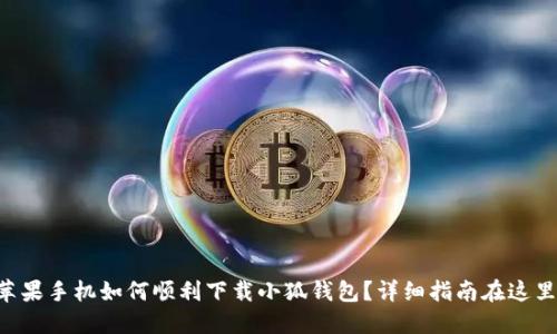 蘋(píng)果手機(jī)如何順利下載小狐錢(qián)包？詳細(xì)指南在這里！