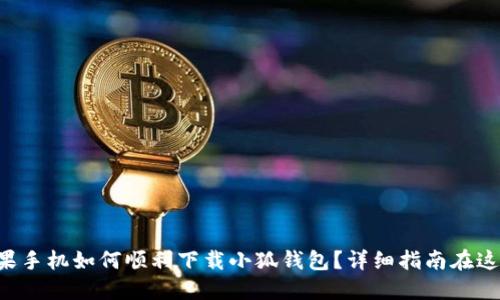 蘋(píng)果手機(jī)如何順利下載小狐錢(qián)包？詳細(xì)指南在這里！