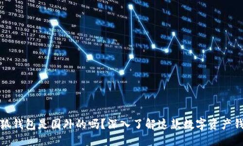 小狐錢包是國(guó)外的嗎？深入了解這款數(shù)字資產(chǎn)錢包