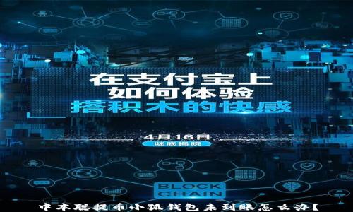 
中本聰提幣小狐錢(qián)包未到賬怎么辦？