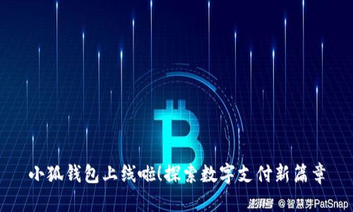 小狐錢包上線啦！探索數(shù)字支付新篇章