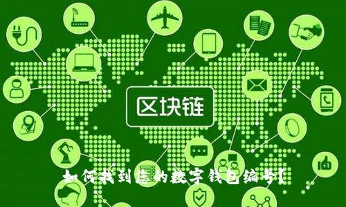 如何找到您的數(shù)字錢包編號(hào)？