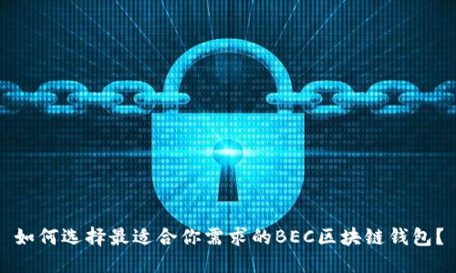 如何選擇最適合你需求的BEC區(qū)塊鏈錢包？