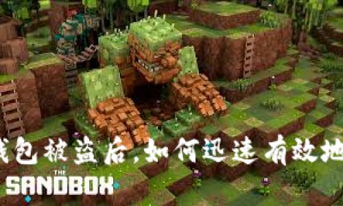 小狐錢包被盜后，如何迅速有效地處理？