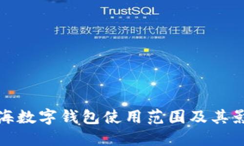 上海數(shù)字錢包使用范圍及其影響