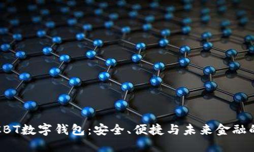揭秘CBT數(shù)字錢包：安全、便捷與未來金融的橋梁