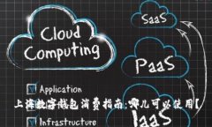 上海數(shù)字錢包消費(fèi)指南：