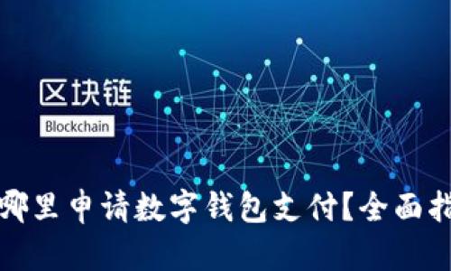 在哪里申請數(shù)字錢包支付？全面指南