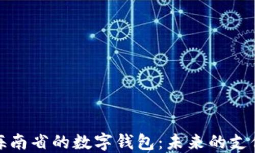 
探索海南省的數(shù)字錢(qián)包：未來(lái)的支付方式